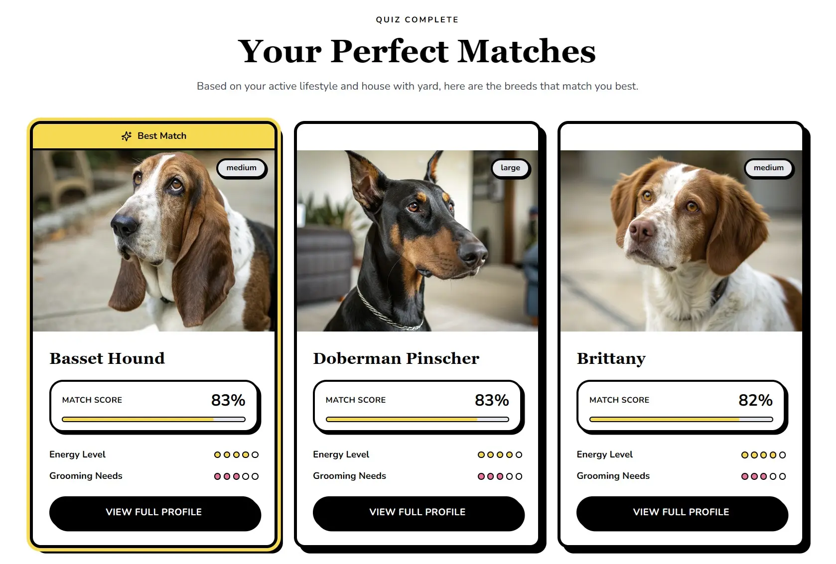Screenshot of quiz questions or result screen